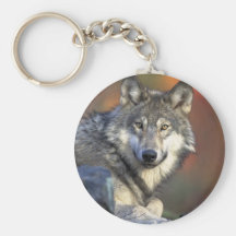 Canis_lupus_Grey Wolf Keychain