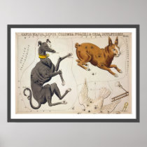 Canis Major, Lepus, Columba Noachi and Cela Posters