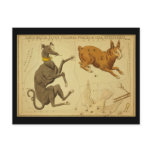 Canis Major, Lepus, Columba Noachi Cela Sculptoris postcards