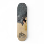 Canis skateboards