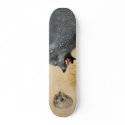 Canis skateboards