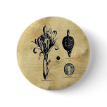 Canna Botanica buttons