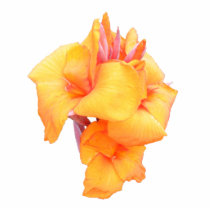 Canna Lily ~ Acrylic Photo Sculpture