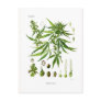 Cannabis sativa post cards