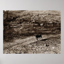 Cannon County Farm Print