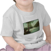 Canoeing on an Adirondack Mountain Stream Shirt