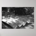 Canoes Posters