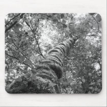 Canopy (b&w) Mousepad mousepads