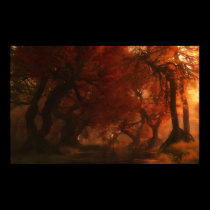 Canopy Creek (Autumn) posters