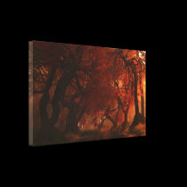 Canopy Creek (Autumn) Wrapped Canvas canvas prints