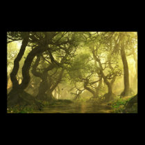 Canopy Creek Spring posters