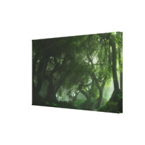 Canopy Creek (Summer) Wrapped Canvas Stretched Canvas Print