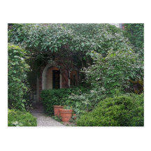Canopy of Foliage Post Card