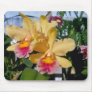 Cantalope Setting Sun (Brassocattleya) flowers Mouse Pad