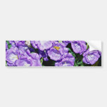Canterbury bells, hardy common biennial flower  fl bumper stickers