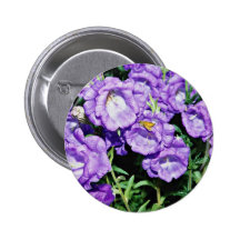 Canterbury bells, hardy common biennial flower  fl button