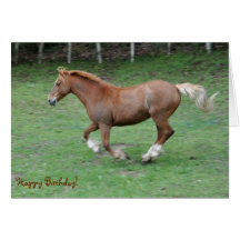 Cantering Welsh cob birthday card