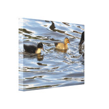 Canvas: Duckling Canvas Print
