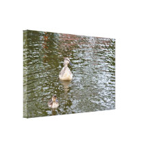 Canvas: Female Mallard Duck and Duckling Gallery Wrapped Canvas