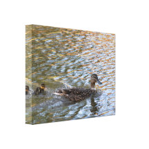 Canvas: Mallard Duck and Duckling Gallery Wrapped Canvas