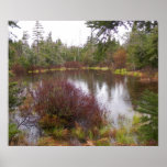 Canvas Poster Print of a small Pond