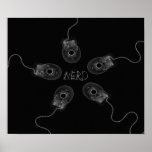 Canvas Print B&W Nerd X-Ray Computer Mice