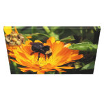 Canvas Print - Calendula and Bee