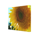 Canvas print - Sunflower and bee