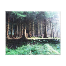 Canvas Print The Dublin Mountains 1