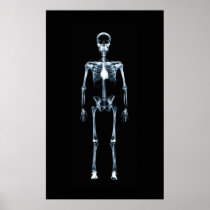 Canvas Print X-Ray Vision Blue Single Skeleton