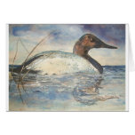 Canvasback Card
