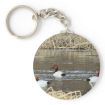 Canvasback drakes key chains