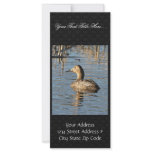 Canvasback hen rack cards