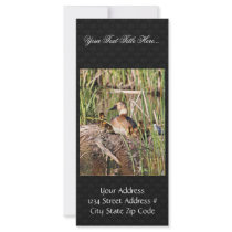Canvasback on nest custom rack card