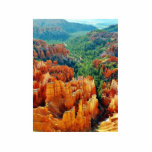 Canyon photo sculptures