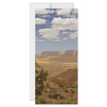 Canyon Rim rack cards