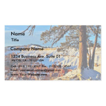 Canyon Winter Snow Pine Trees Utah Business Card Templates