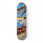 Canyon Winter Snow Pine Trees Utah skateboards