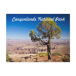 Canyonlands National Park Postcard