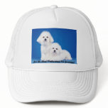 Cap - Ask Me About Prof. Pet Grooming hats