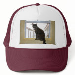 Cap, Calico Cat hats