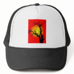 Cap silouette hats