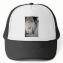 Cap, White Cat hats