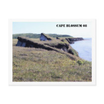 CAPE BLOSSUM FALL (2), CAPE BLOSSUM 08 POST CARDS