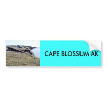 CAPE BLOSSUM FALL (2), CAPE BLOSSUM AK BUMPER STICKERS