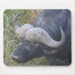 Cape Buffalo Mouse Mat