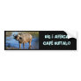 Cape Buffalo safari big 5 bumper stickers