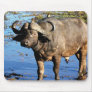 Cape Buffalo safari mousepads