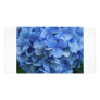 Cape Cod Hydrangea Photo Card