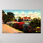 Cape Cod Massachusetts Posters